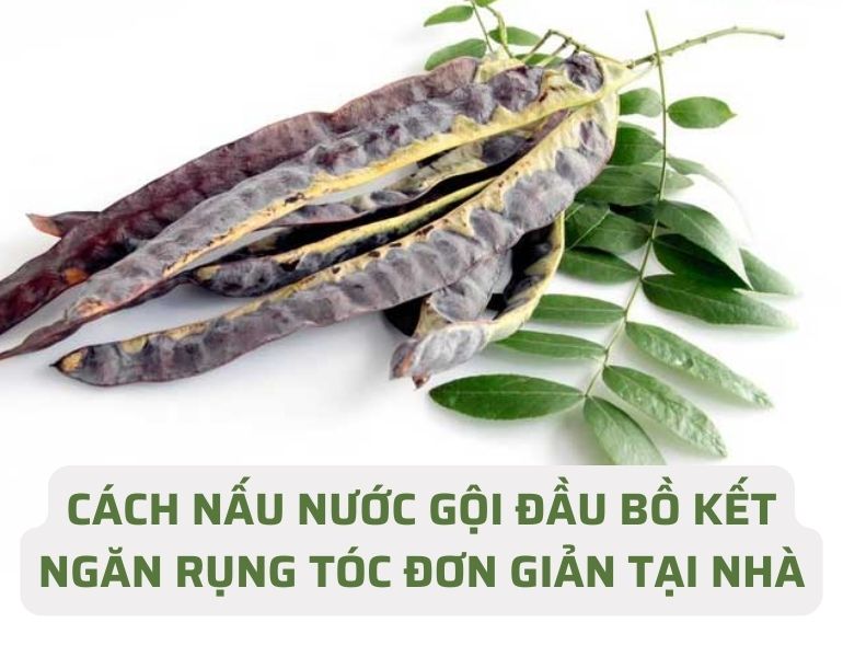 Cách nấu nước gội đầu bồ kết ngăn rụng tóc cực đơn giản