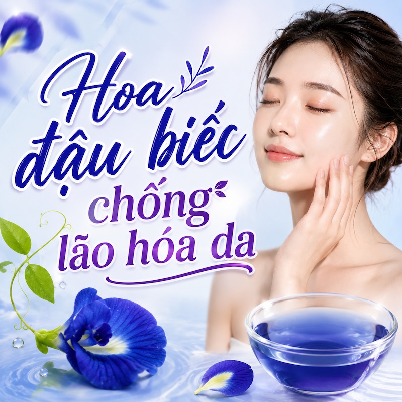 Cách tận dụng hoa đậu biếc chống lão hóa da an toàn và hiệu quả