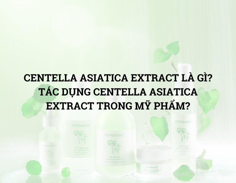 CENTELLA ASIATICA EXTRACT LÀ GÌ? TÁC DỤNG CENTELLA ASIATICA EXTRACT TRONG MỸ PHẨM?