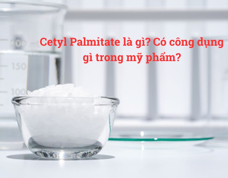 Cetyl Palmitate là gì? Có công dụng gì trong mỹ phẩm?