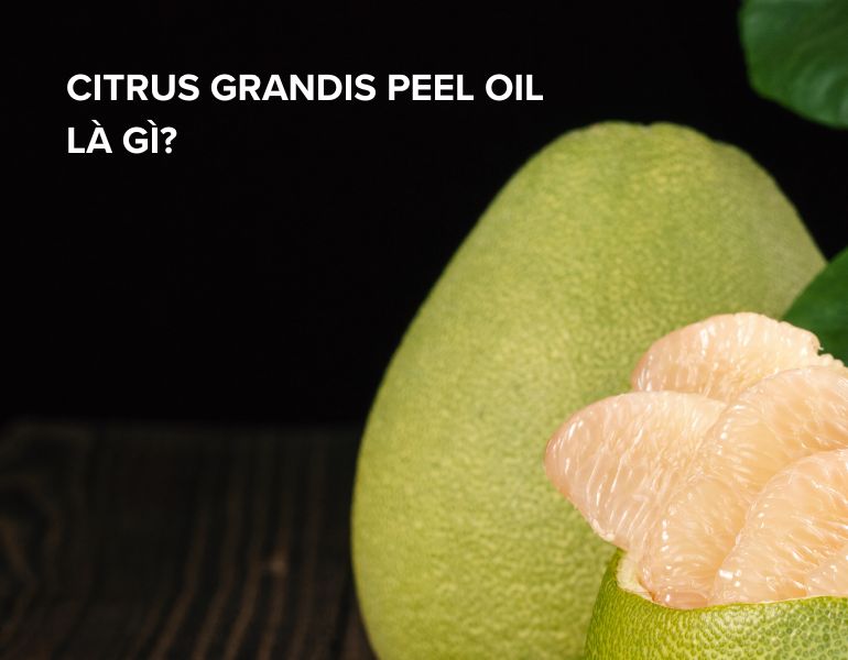 Citrus grandis peel oil là gì? Có công dụng gì trong mỹ phẩm?