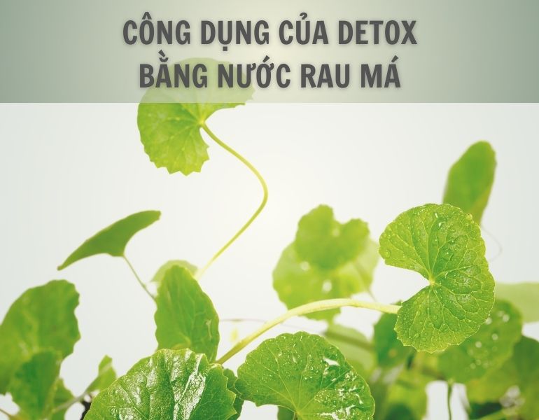 Công dụng của detox bằng nước rau má