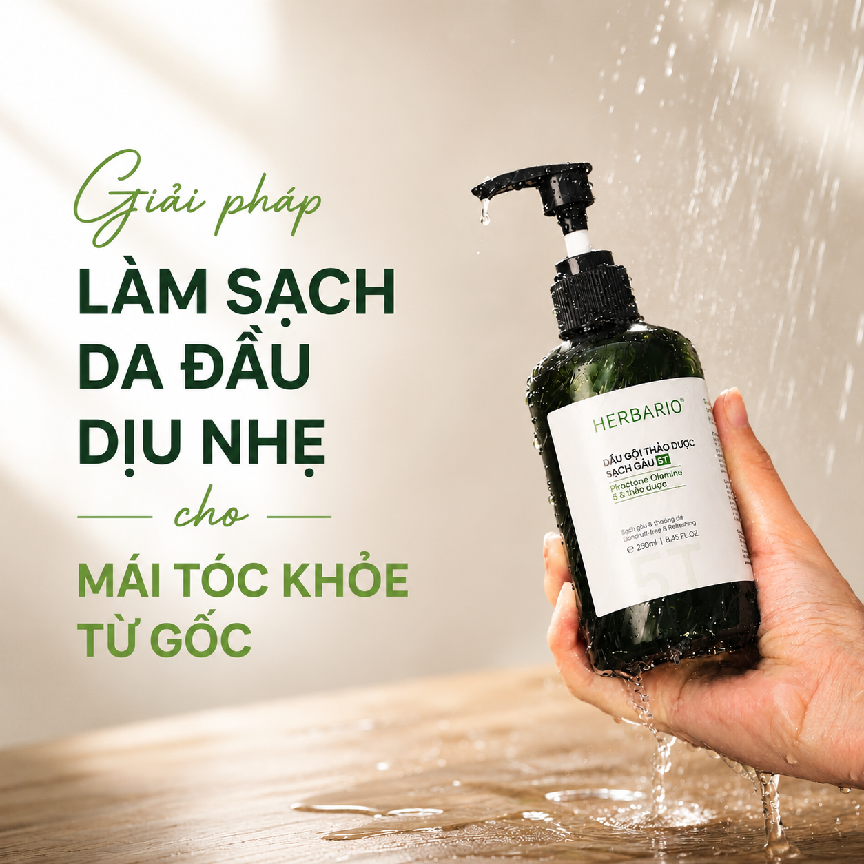 Dầu gội sạch gàu không silicone: Giải pháp làm sạch da đầu dịu nhẹ cho mái tóc khỏe từ gốc