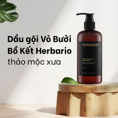 Dầu gội Vỏ bưởi Bồ kết Herbario thảo mộc xưa