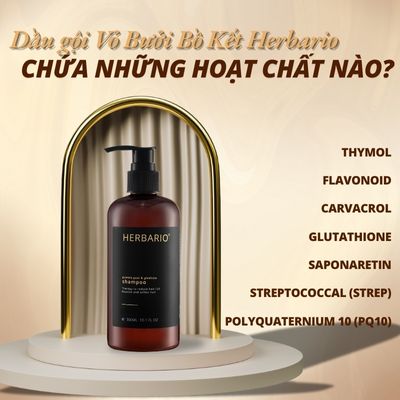 Dầu gội Vỏ bưởi và Bồ kết Herbario chứa những hoạt chất nào?