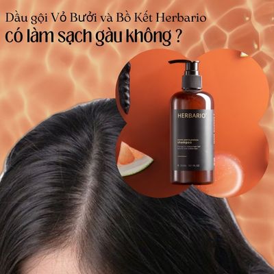 Dầu gội Vỏ Bưởi và Bồ Kết Herbario có làm sạch gàu không ?