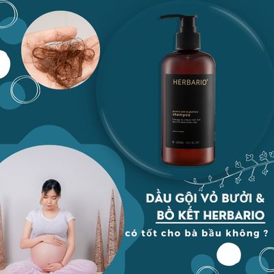 Dầu gội Vỏ Bưởi và Bồ Kết Herbario có tốt cho bà bầu không?