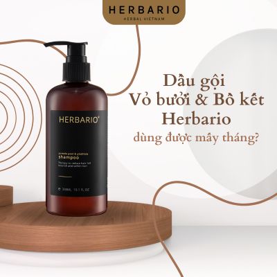 Dầu gội Vỏ bưởi và Bồ kết Herbario dùng được mấy tháng?