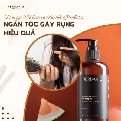 Dầu gội Vỏ bưởi và Bồ kết herbario ngăn tóc gãy rụng hiệu quả