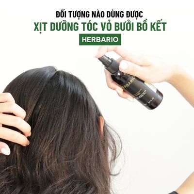 Đối tượng nào dùng được xịt dưỡng tóc Vỏ Bưởi Bồ Kết Herbario Đối tượng nào dùng được xịt dưỡng tóc Vỏ Bưởi Bồ Kết Herbario