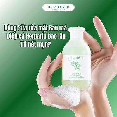 Dùng Sữa rửa mặt Rau má Diếp cá Herbario bao lâu thì hết mụn