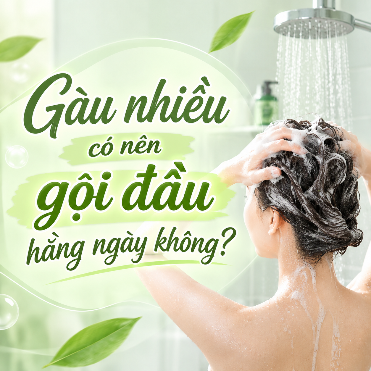 Gàu nhiều có nên gội đầu hằng ngày không? Tuần suất bao nhiêu là hợp lý?