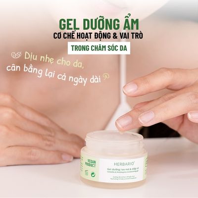 Gel dưỡng ẩm: Cơ chế hoạt động và vai trò trong chăm sóc da hiện đại