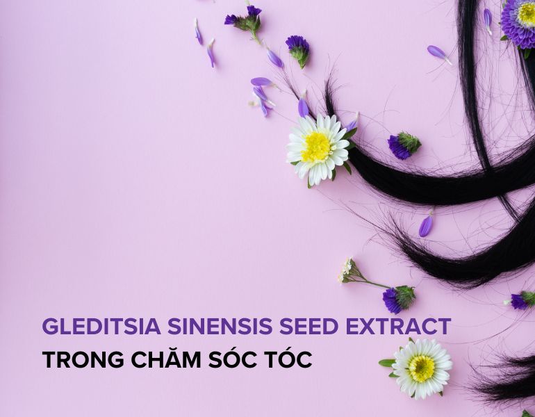 Gleditsia sinensis seed extract là gì? Có công dụng gì trong mỹ phẩm?