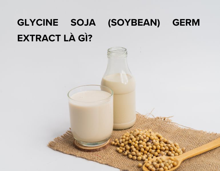 Glycine soja (soybean) germ extract là gì? Có công dụng gì trong mỹ phẩm?