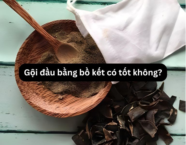 Gội đầu bằng bồ kết có tốt không?