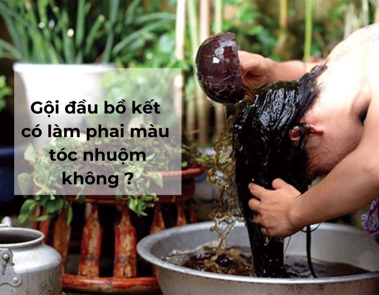 Gội đầu bồ kết có làm phai màu tóc nhuộm không ?