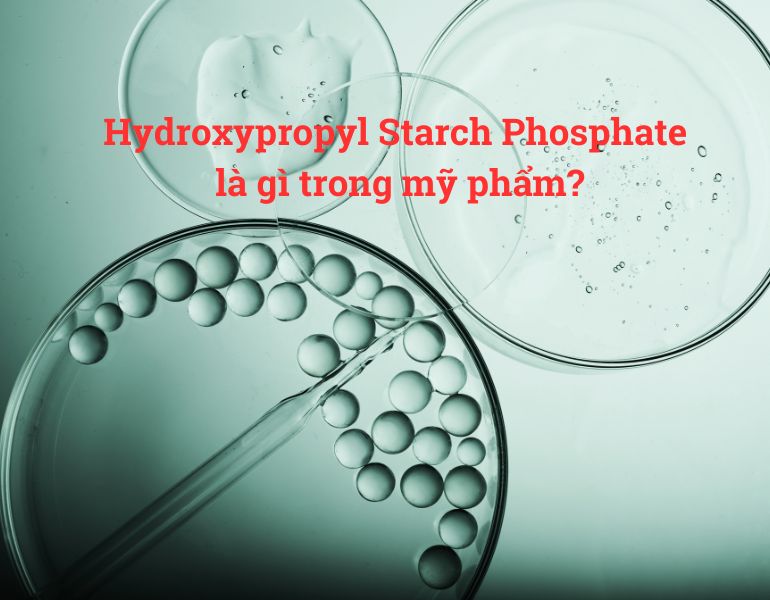 Hydroxypropyl Starch Phosphate là gì trong mỹ phẩm?