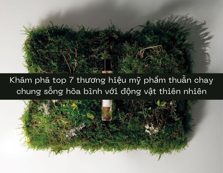 Khám phá top 7 thương hiệu mỹ phẩm thuần chay chung sống hòa bình với động vật thiên nhiên