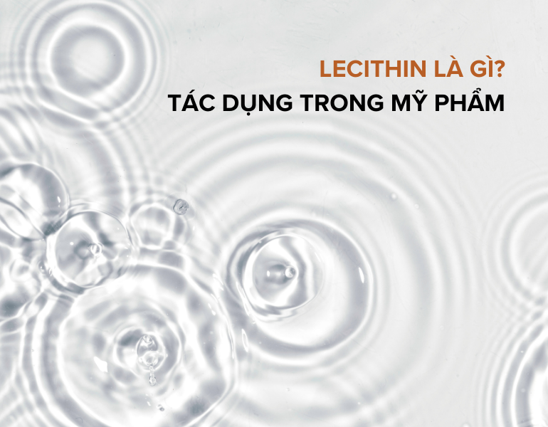 Lecithin là gì? Tác dụng của lecithin trong mỹ phẩm