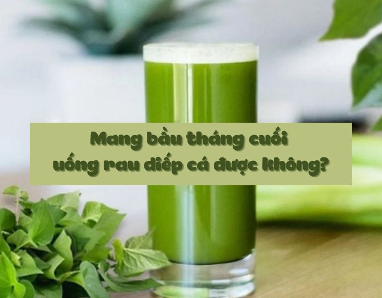 Mang bầu tháng cuối uống rau diếp cá được không?