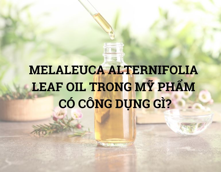 MELALEUCA ALTERNIFOLIA LEAF OIL TRONG MỸ PHẨM  CÓ CÔNG DỤNG GÌ?