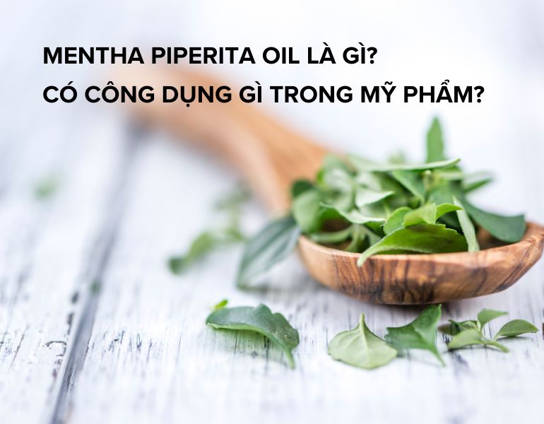 Mentha piperita oil là gì? Có công dụng gì trong mỹ phẩm?
