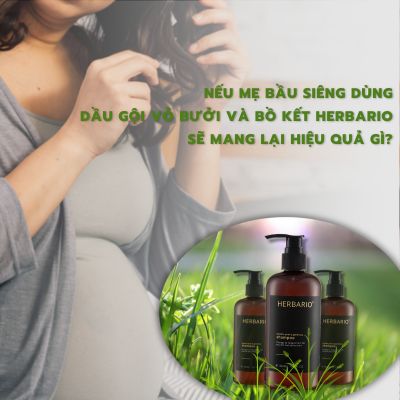 Nếu mẹ bầu siêng dùng dầu gội Vỏ bưởi và Bồ kết Herbario sẽ mang lại hiệu quả gì?