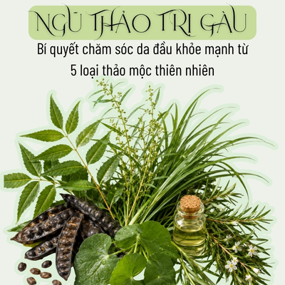 Ngũ thảo trị gàu – Bí quyết chăm sóc da đầu khỏe mạnh từ 5 loại thảo mộc thiên nhiên