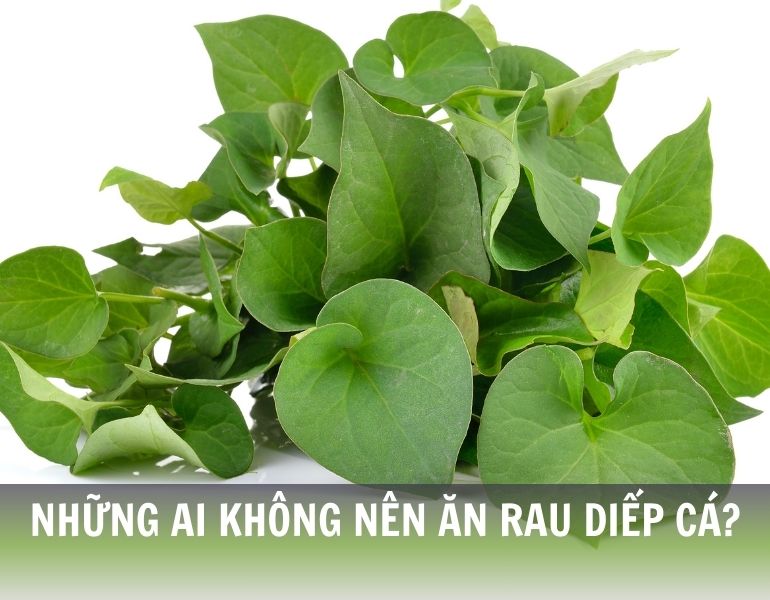 Những ai không nên ăn rau diếp cá?