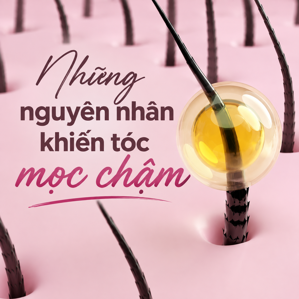 Những nguyên nhân khiến tóc mọc chậm & cách khắc phục hiệu quả