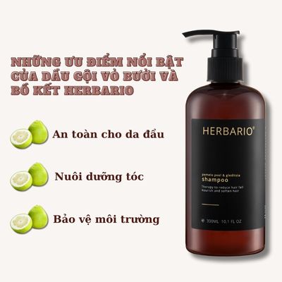 Những ưu điểm nổi bật của dầu gội Vỏ bưởi và Bồ Kết Herbario