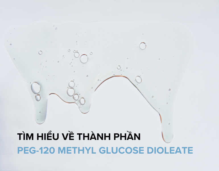 PEG-120 Methyl Glucose Dioleate là gì? Tìm hiểu về công dụng của PEG-120 Methyl Glucose Dioleate trong mỹ phẩm