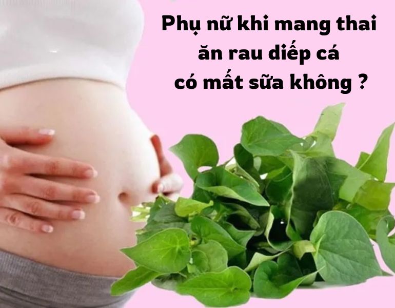 Phụ nữ mang thai ăn rau diếp cá có mất sữa không ?