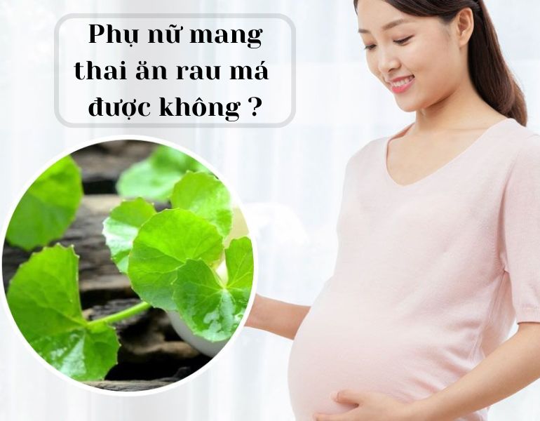 Phụ nữ mang thai ăn rau má được không ?