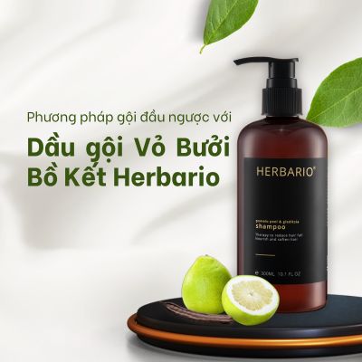 Phương pháp gội đầu ngược với Dầu gội Vỏ Bưởi Bồ Kết Herbario