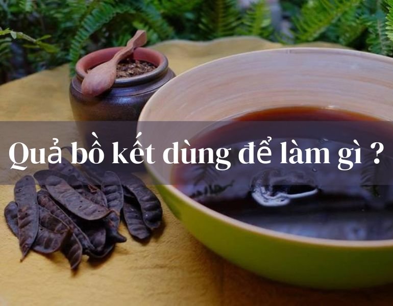 Quả bồ kết dùng để làm gì ?