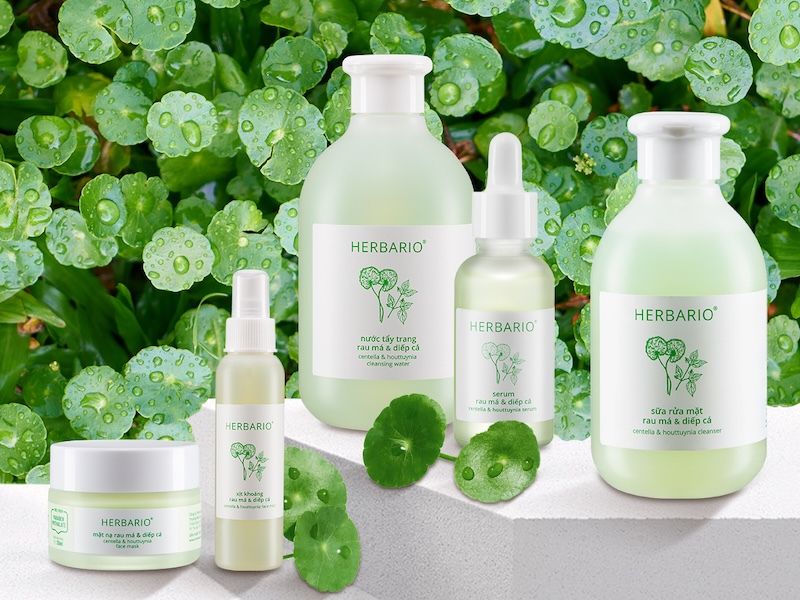 Quy trình 6 bước chăm sóc da dầu mụn toàn diện từ Rau Má & Diếp Cá