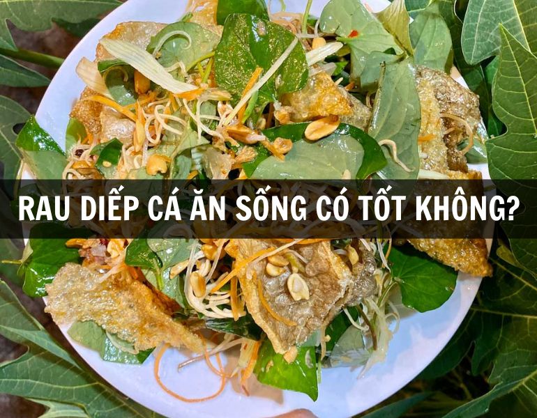 Rau diếp cá ăn sống có tốt không?