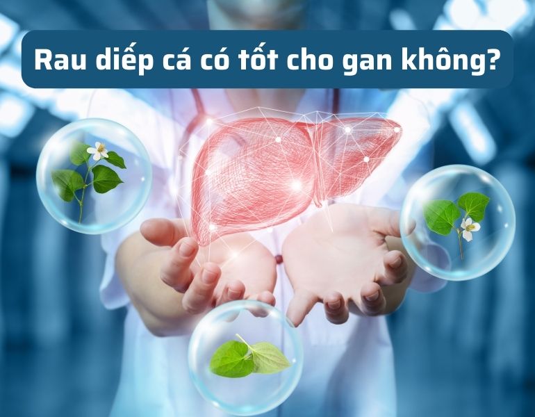 Rau diếp cá có tốt cho gan không?