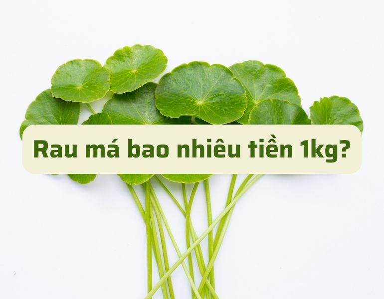 Rau má giá bao nhiêu tiền 1kg?