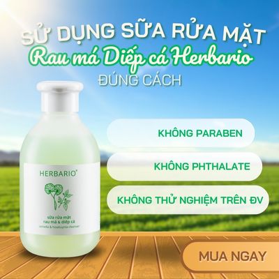 Sử dụng sữa rửa mặt Rau má Diếp cá Herbario đúng cách?