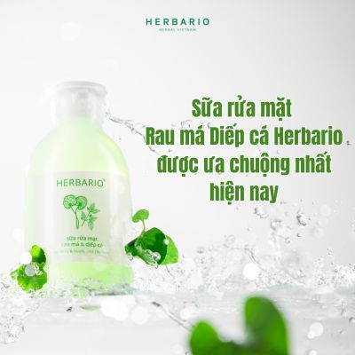 Sữa rửa mặt Rau má Diếp cá Herbario được ưa chuộng nhất hiện nay