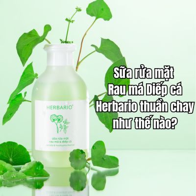 Sữa rửa mặt Rau má Diếp cá Herbario thuần chay như thế nào?