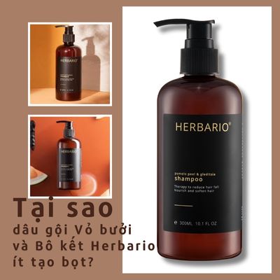 Tại sao dầu gội Vỏ bưởi và Bồ kết Herbario ít tạo bọt?