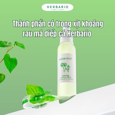 Thành phần có trong xịt khoáng rau má diếp cá Herbario