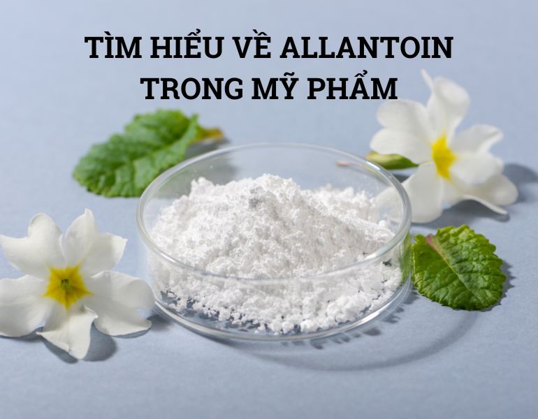 TÌM HIỂU VỀ ALLANTOIN TRONG MỸ PHẨM