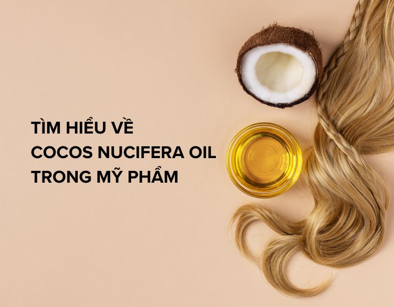 Tìm hiểu về thành phần cocos nucifera oil trong mỹ phẩm