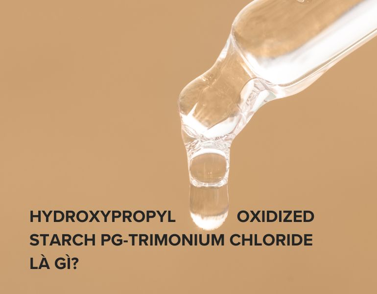 Tìm hiểu về thành phần hydroxypropyl oxidized starch PG-trimonium chloride trong mỹ phẩm