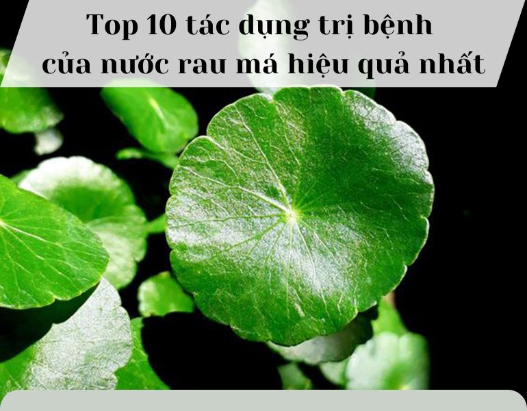 Top 10 tác dụng trị bệnh của nước rau má hiệu quả nhất